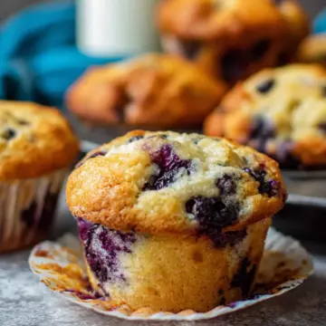 Greek Yogurt Blueberry Muffins (Low Sugar Recipe)