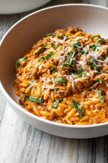 Ground Beef Orzo with Tomato Cream Sauce
