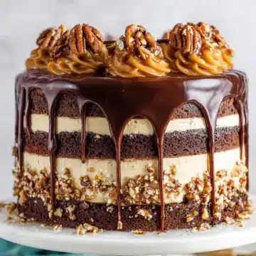 Turtle Chocolate Layer Cake