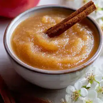 Cinnamon Applesauce Recipe (Easy & Homemade) Recipe
